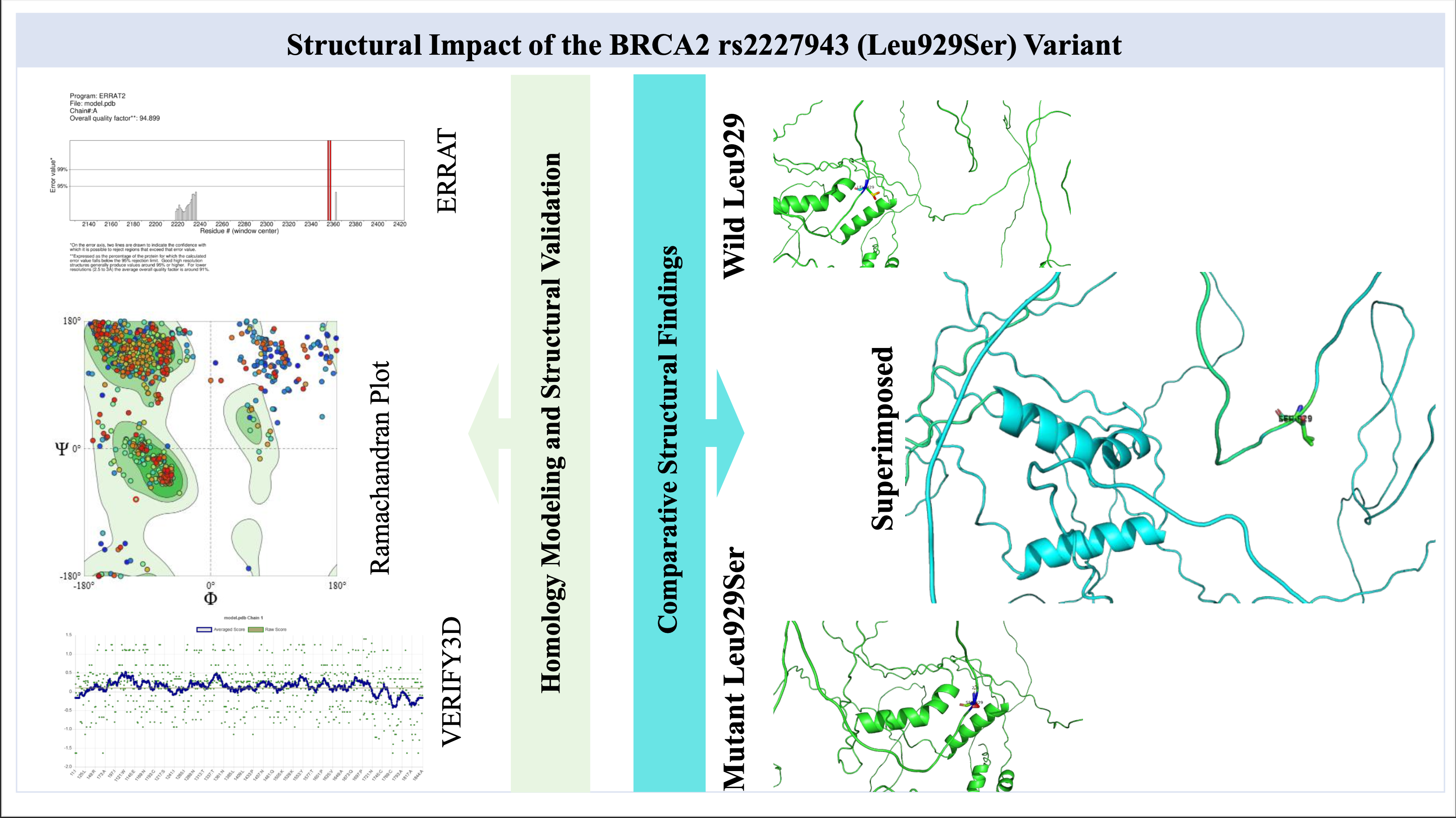 graphical abstract