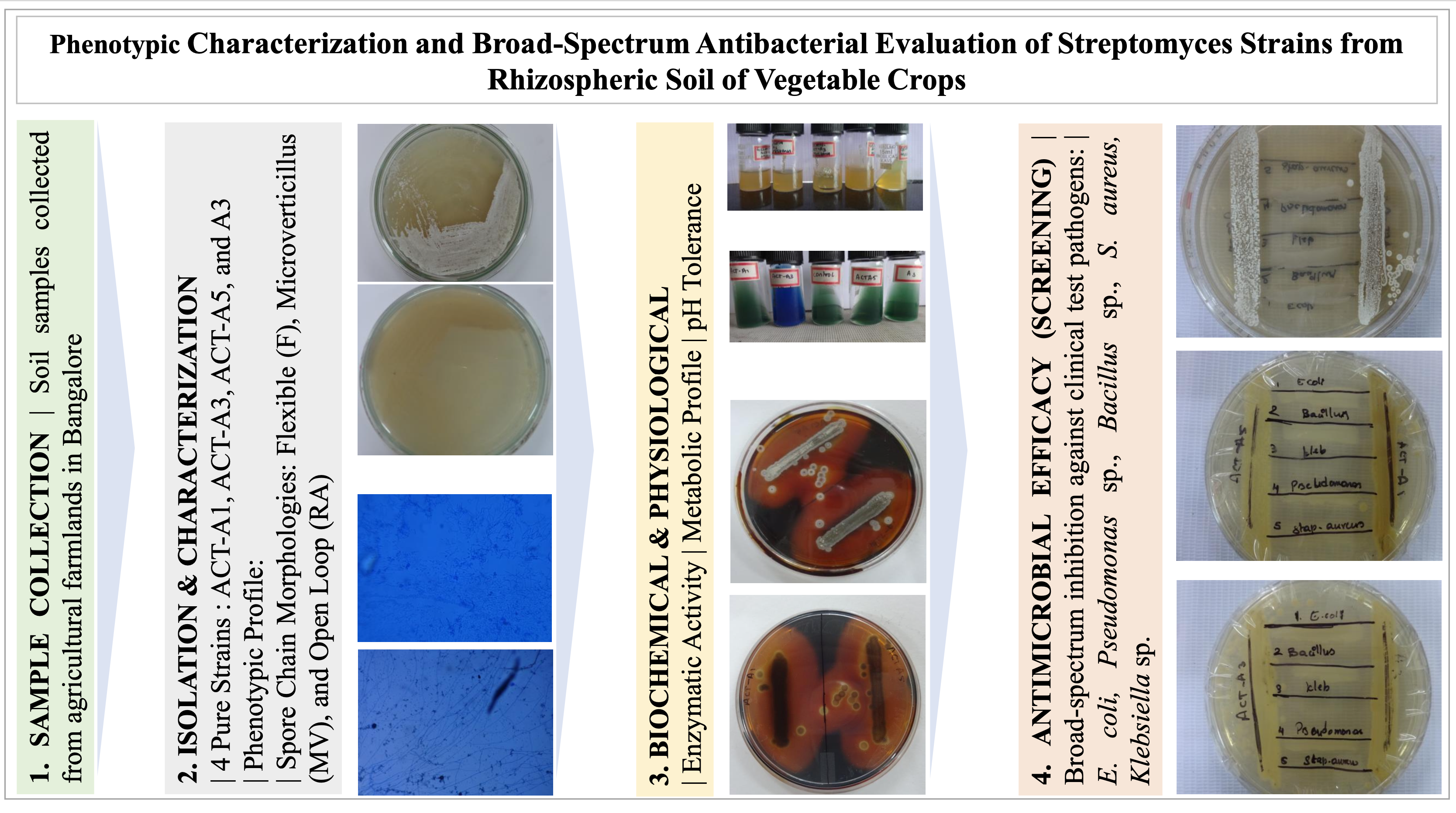 graphical abstract