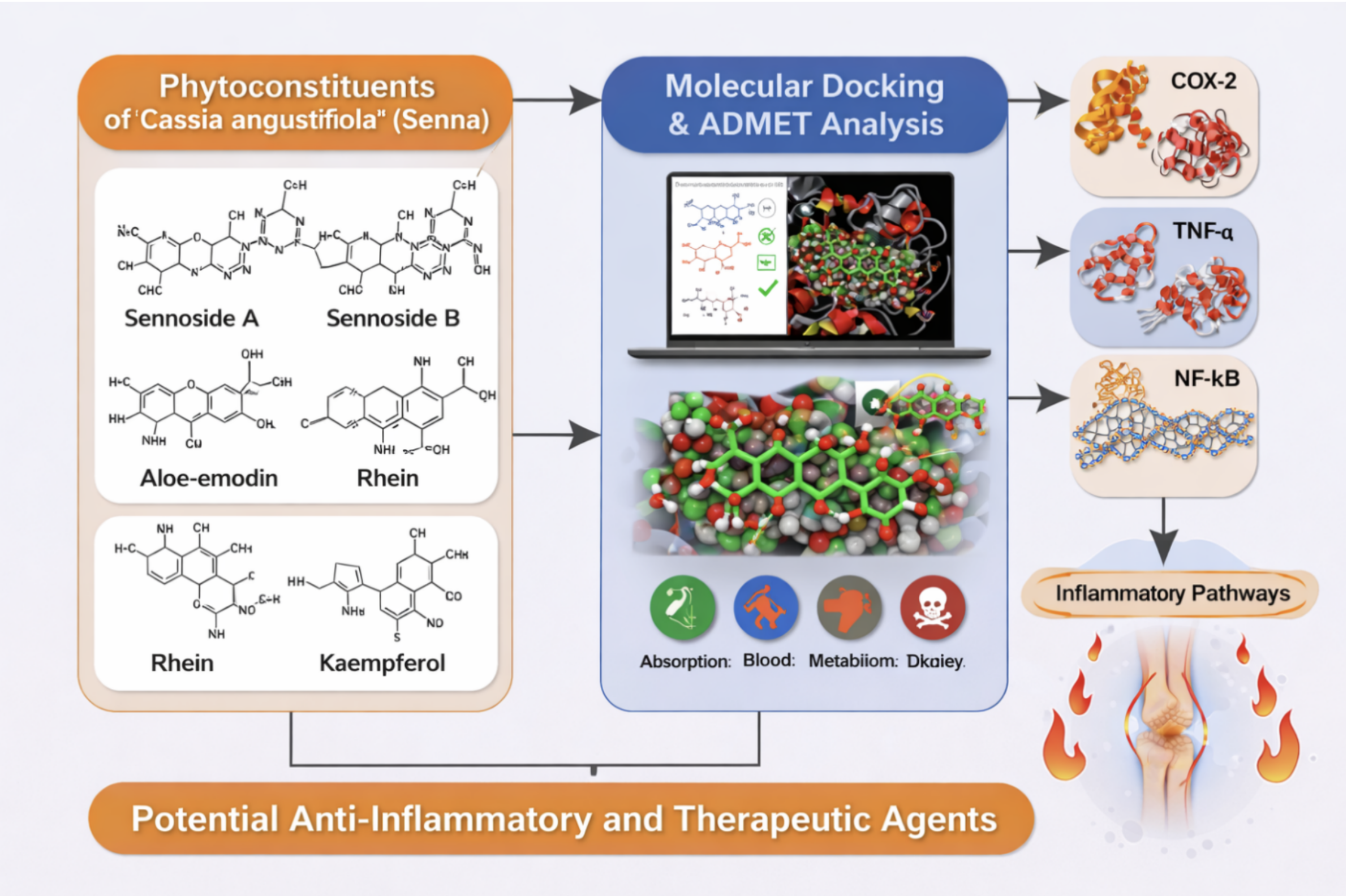 graphical abstract