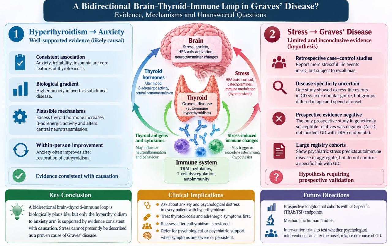 graphical abstract